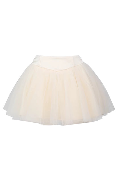 Nutcracker Pink Camisole and Mesh Skirt Set-Up