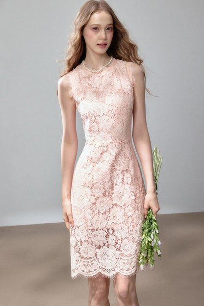Sleeveless Lace Waist-Cinching Dress