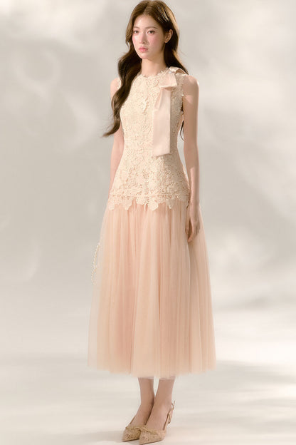 Lace Sleeveless Waist-Cinching Tulle Dress