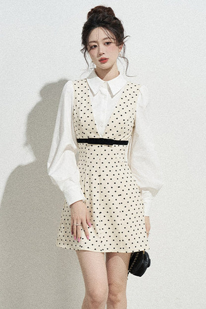 Polka Dot Shirt Collar A-Line Dress