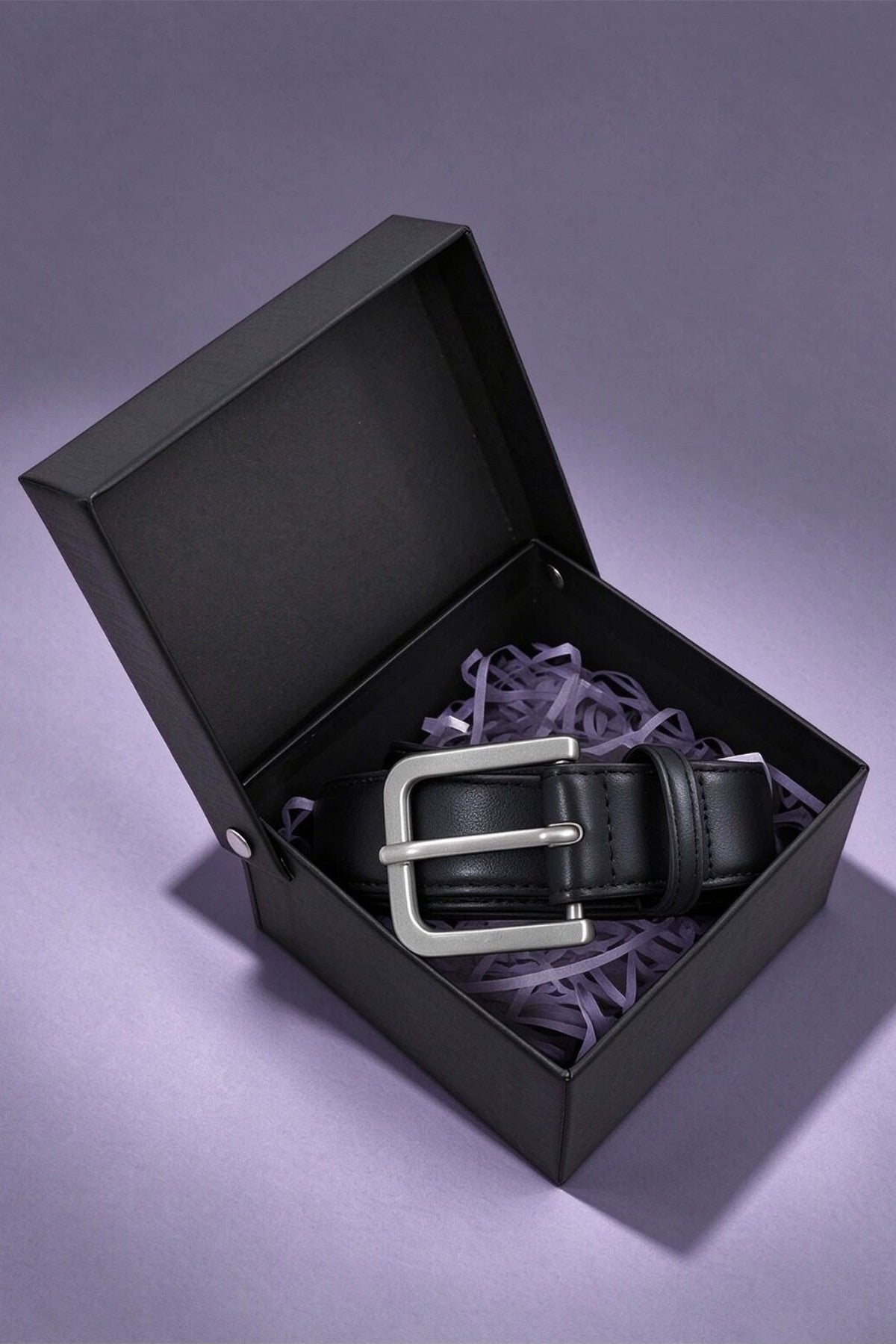 Collar Matte Silver Belt