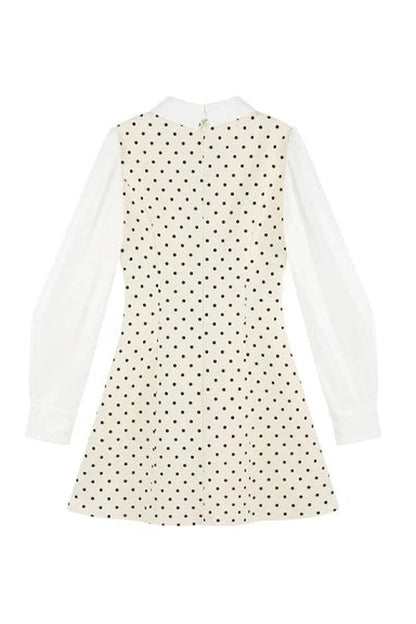 Polka Dot Shirt Collar A-Line Dress