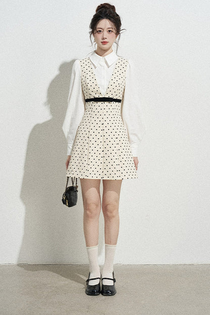 Polka Dot Shirt Collar A-Line Dress