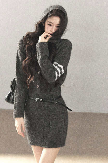 Whale Gray Wool Hooded Bodycon Sweater Dress