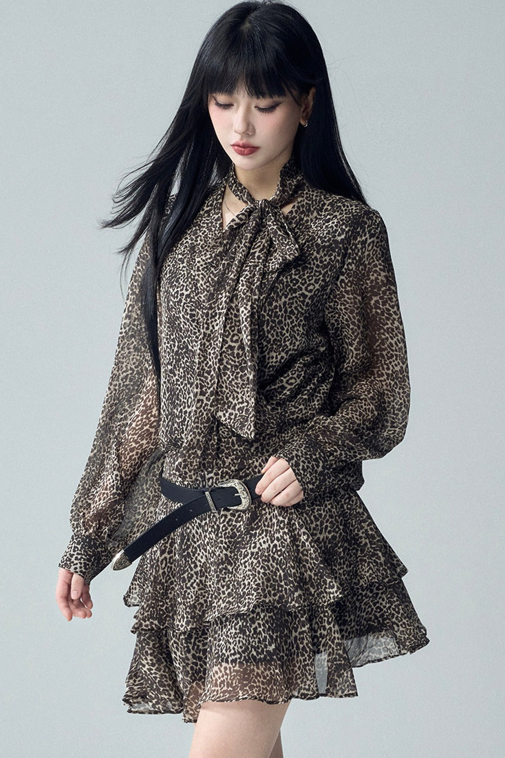 Long Sleeve Leopard Print Dress
