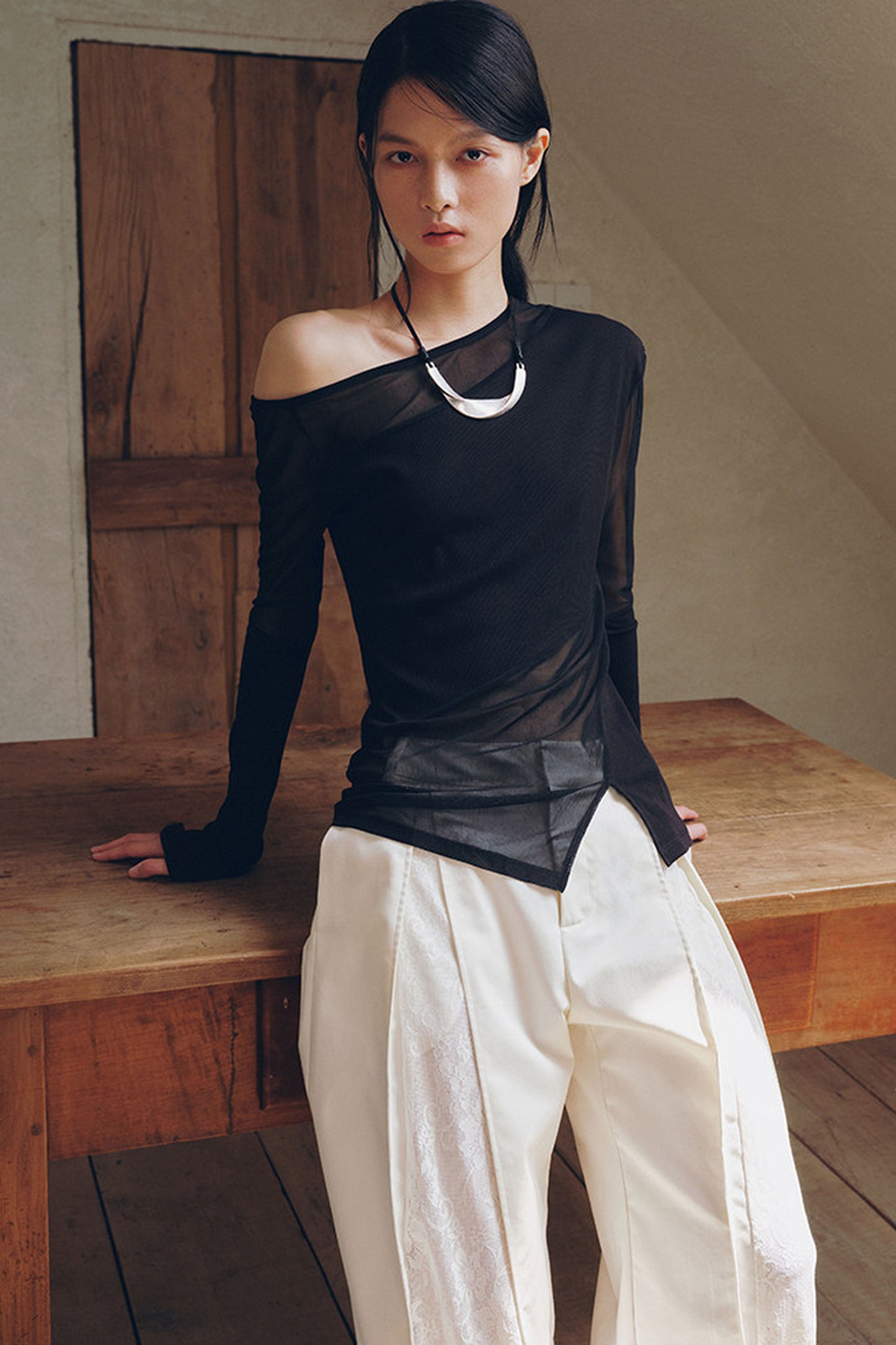 Asymmetrical Sheer Long Sleeve Top