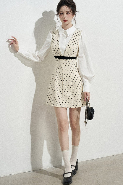 Polka Dot Shirt Collar A-Line Dress