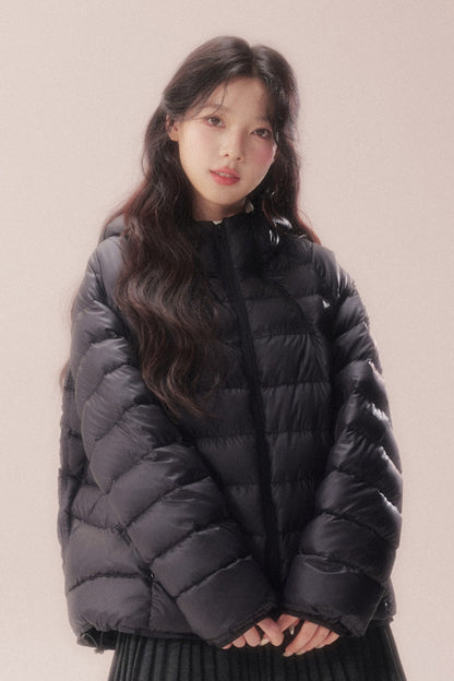 Silhouette Zipper Down Jacket