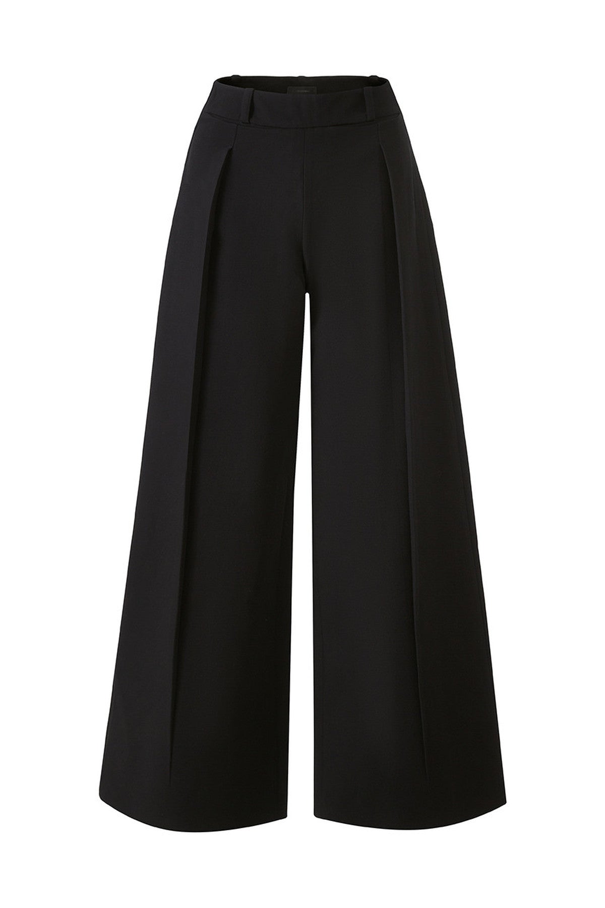 Pleated Wide-Leg Tencel Wool Pants