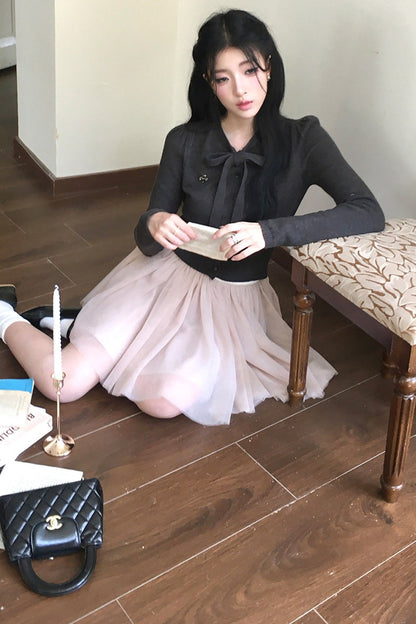 A-Line Large Flared Mesh Skirt
