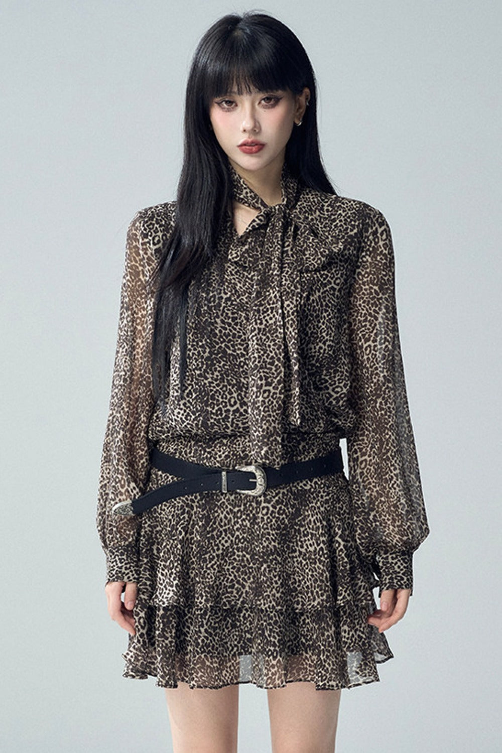 Long Sleeve Leopard Print Dress
