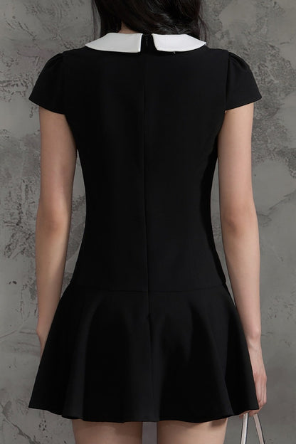 Double-Breasted Doll Collar A-Line Dress
