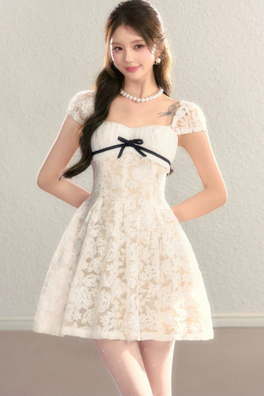 Embroidered Lace A-Line Slimming Dress