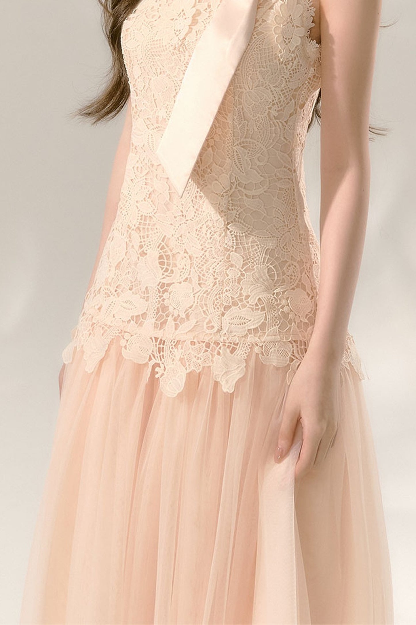 Lace Sleeveless Waist-Cinching Tulle Dress