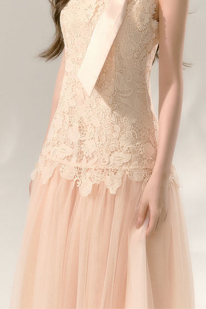 Lace Sleeveless Waist-Cinching Tulle Dress