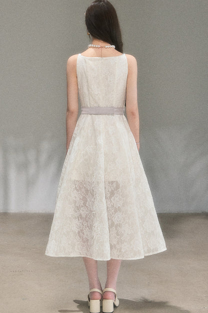 Soft Lace A-Line Dress