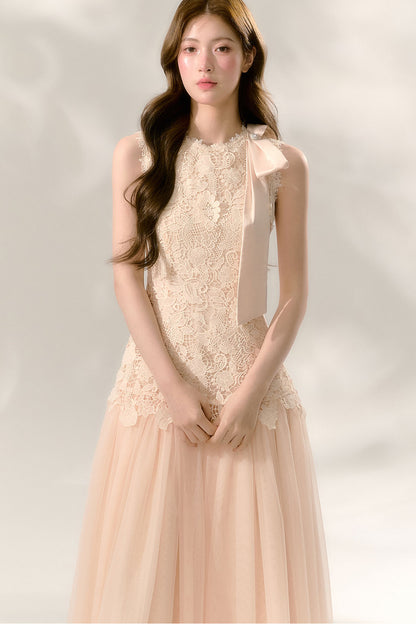 Lace Sleeveless Waist-Cinching Tulle Dress
