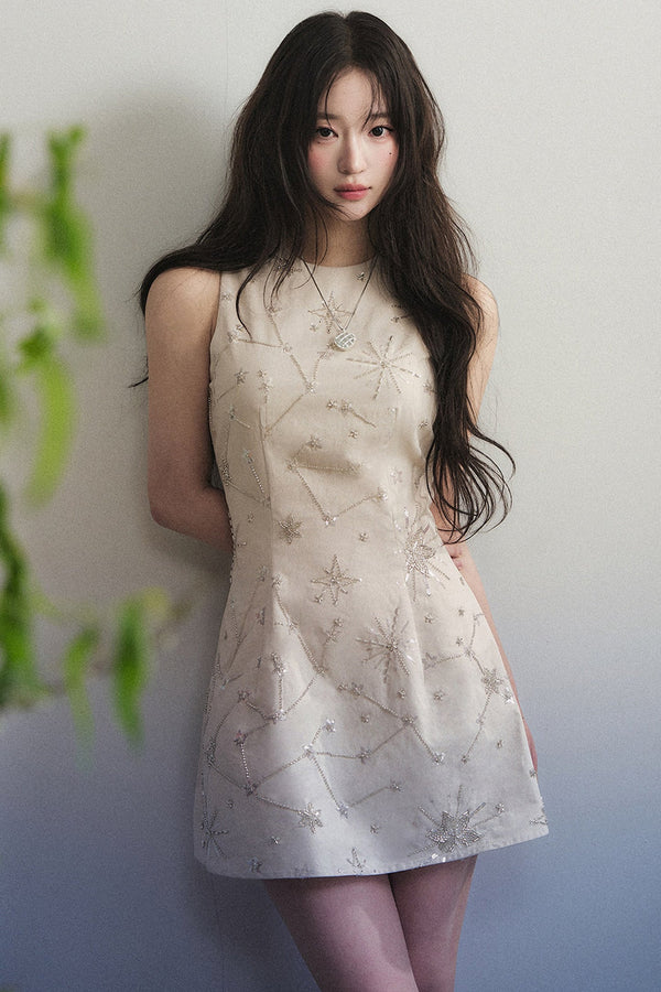 Heavy Beaded Embroidery Sleeveless Mini Dress