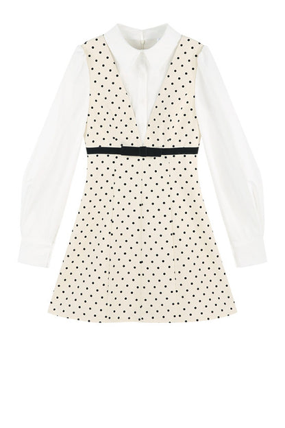 Polka Dot Shirt Collar A-Line Dress
