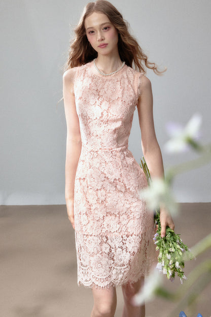 Sleeveless Lace Waist-Cinching Dress