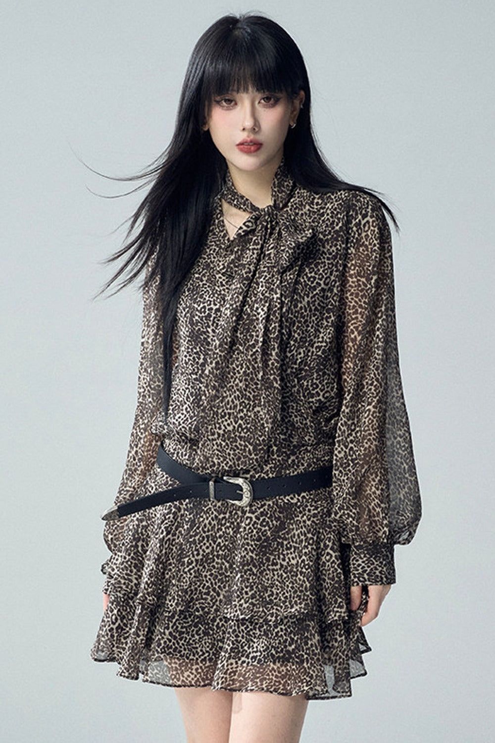 Long Sleeve Leopard Print Dress