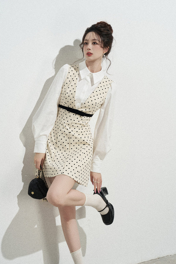 Polka Dot Shirt Collar A-Line Dress