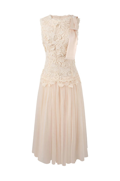 Lace Sleeveless Waist-Cinching Tulle Dress