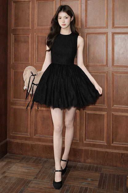 Sleeveless Lace Tutu Dress