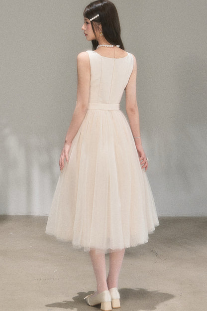 Mondlicht-Netzstoff-Ballettkleid