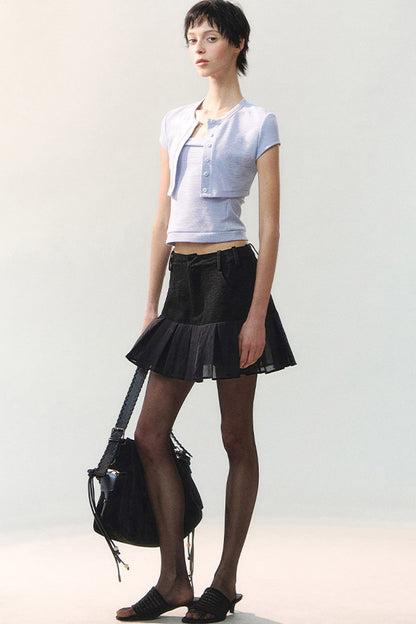 Textured Sheer Pleated Mini Skirt