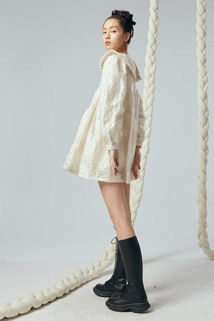Ruffled Peter Pan Collar Dress