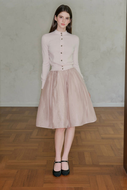 Pearlescent Mesh A-Line Skirt