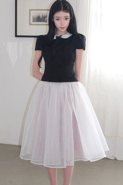 Gentle Style Mesh Skirt Set-Up