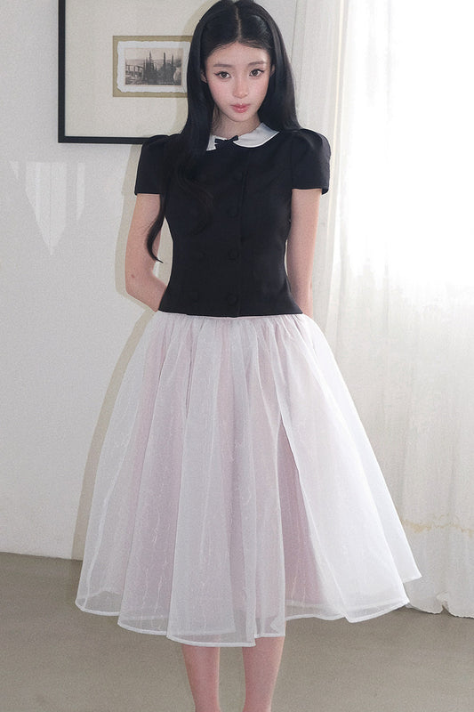 Gentle Style Mesh Skirt Set-Up