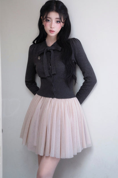 A-Line Large Flared Mesh Skirt