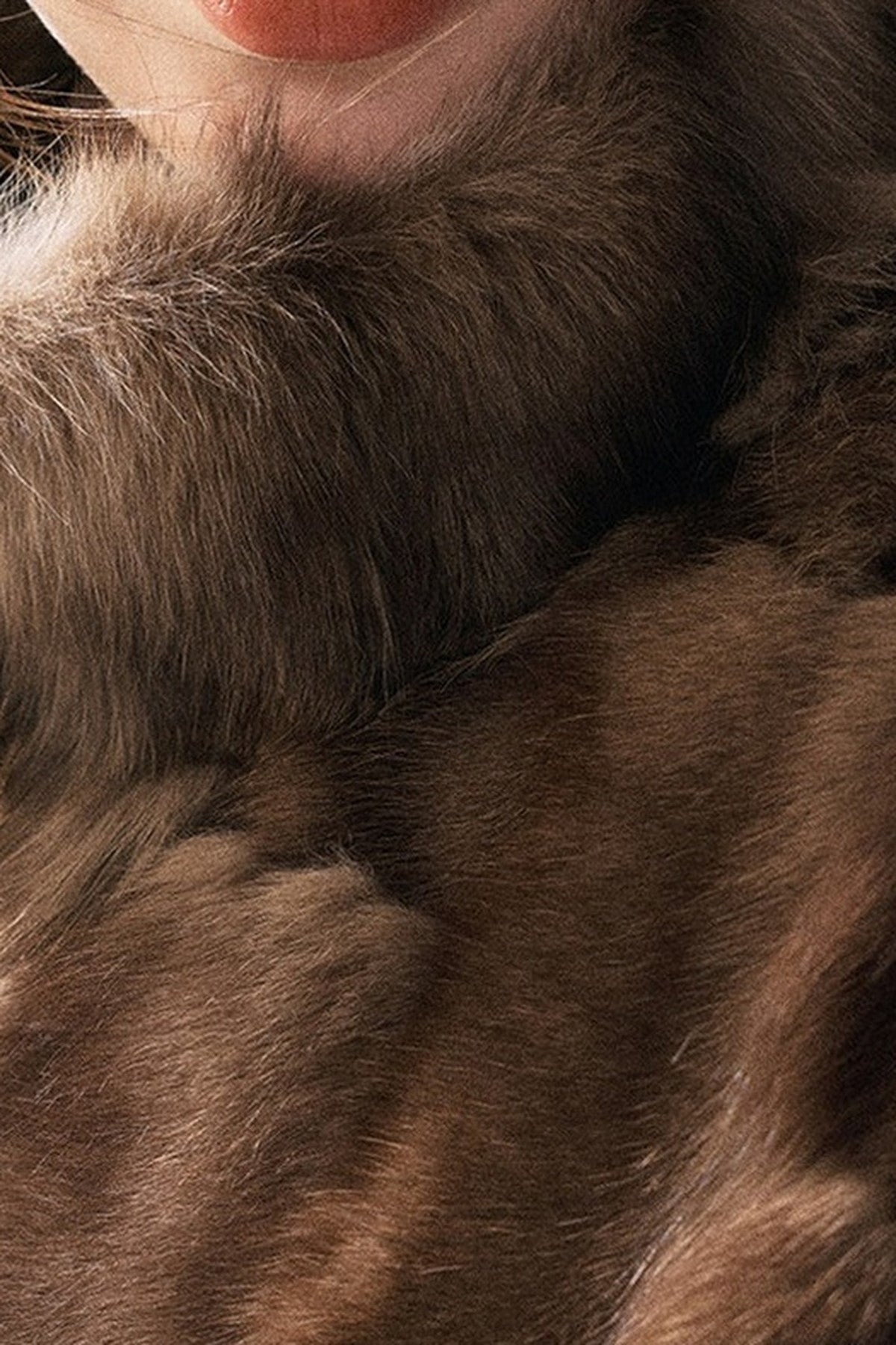 Real Fox Fur Vest