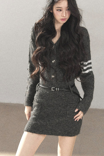 Whale Gray Wool Hooded Bodycon Sweater Dress