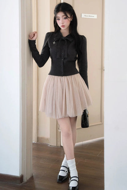 A-Line Large Flared Mesh Skirt