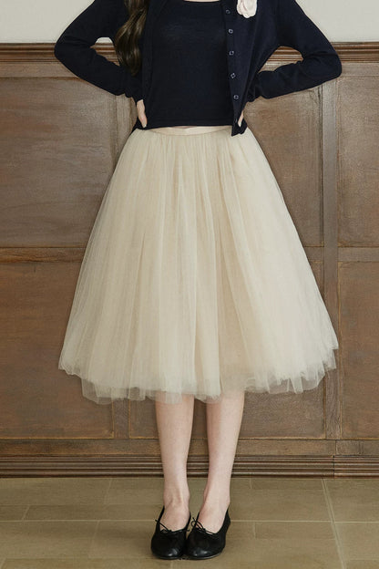 Mid-Waist A-Line Mesh Skirt