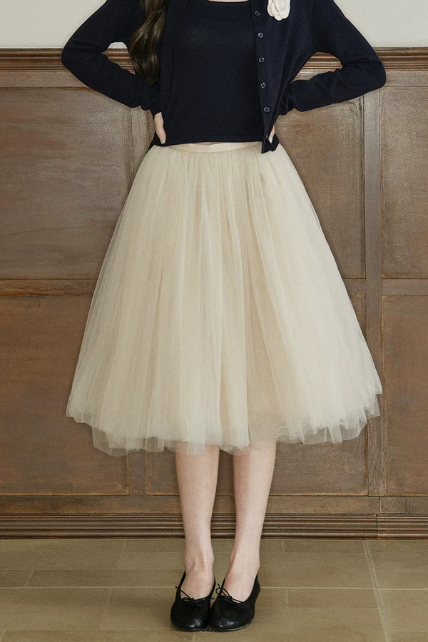 Mid-Waist A-Line Mesh Skirt