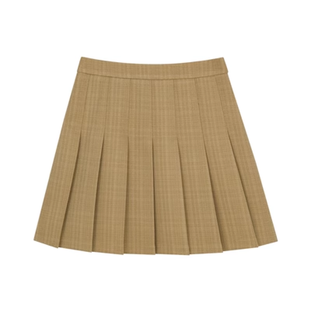 High Waist Pleated Skirt